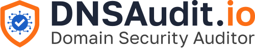 DNSAudit.io - Domain Security Scanner