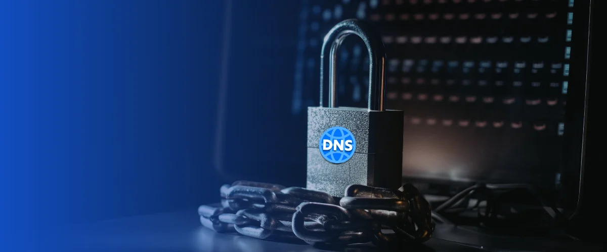 DNS penetration testing and continuous auditing closing the visibility gap