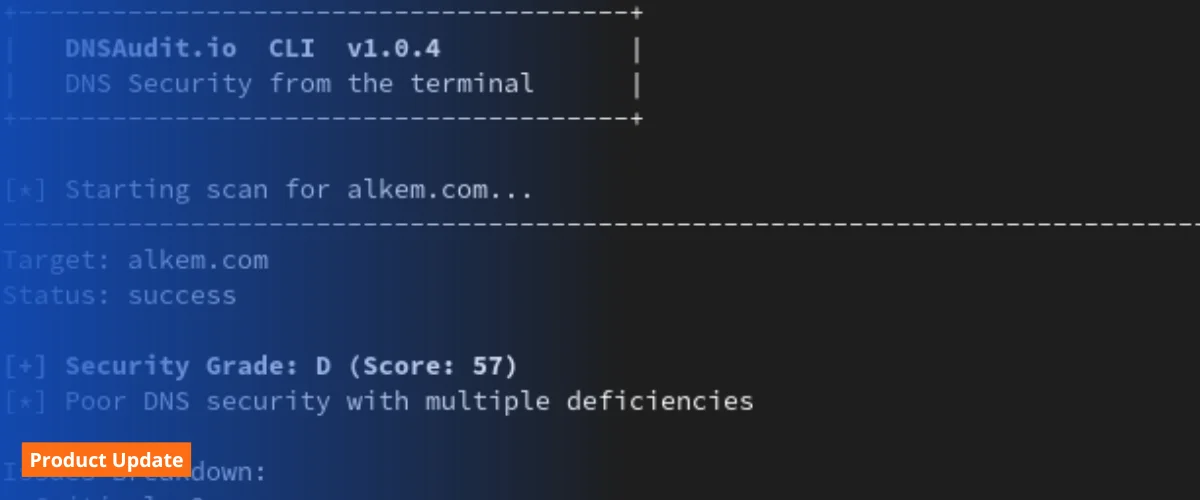 DNSAudit CLI - Run DNS security scans from the terminal