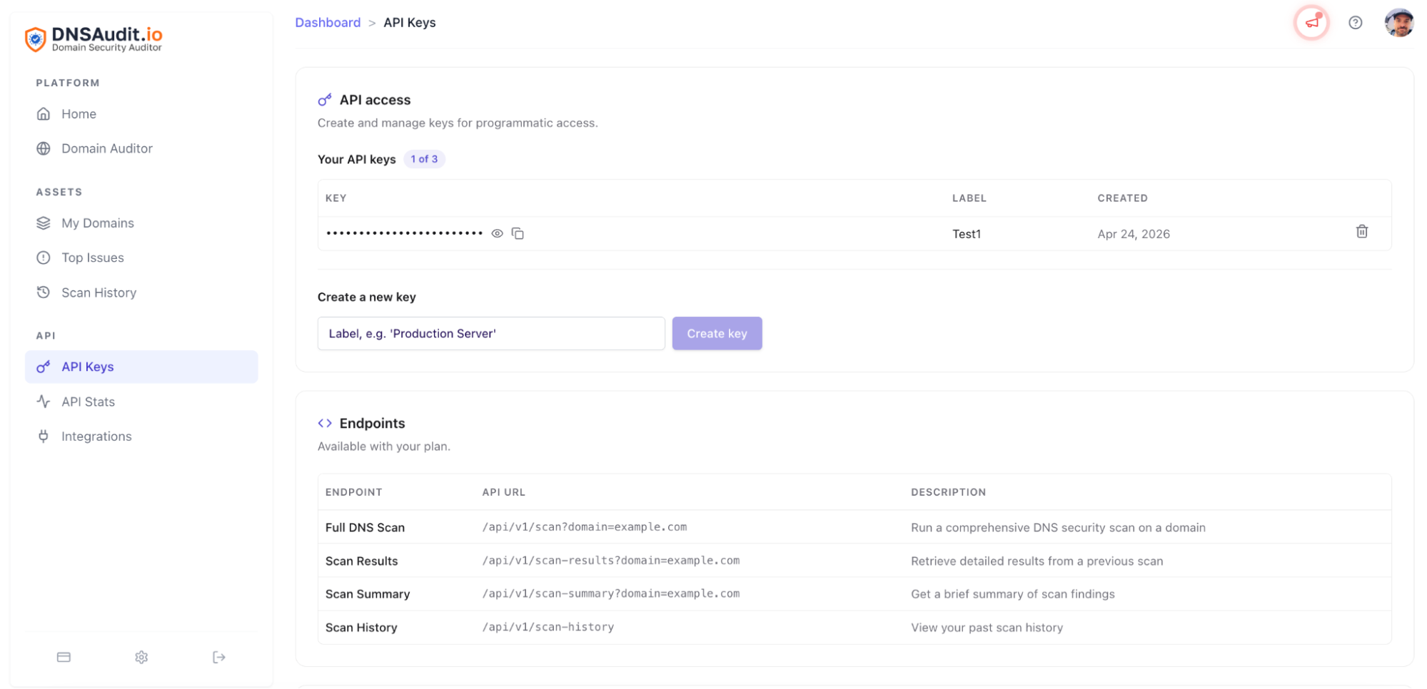DNSAudit.io API Keys page, where users create keys and see the available endpoints for full scans, results, summaries and scan history.