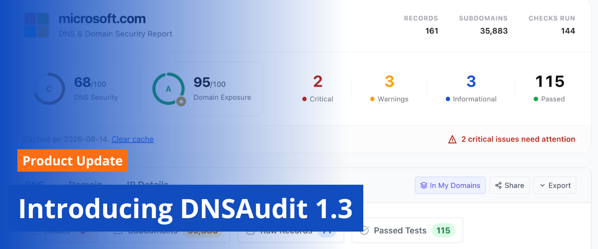 Introducing DNSAudit 1.3 with Domain Exposure, dashboard, and Python SDK