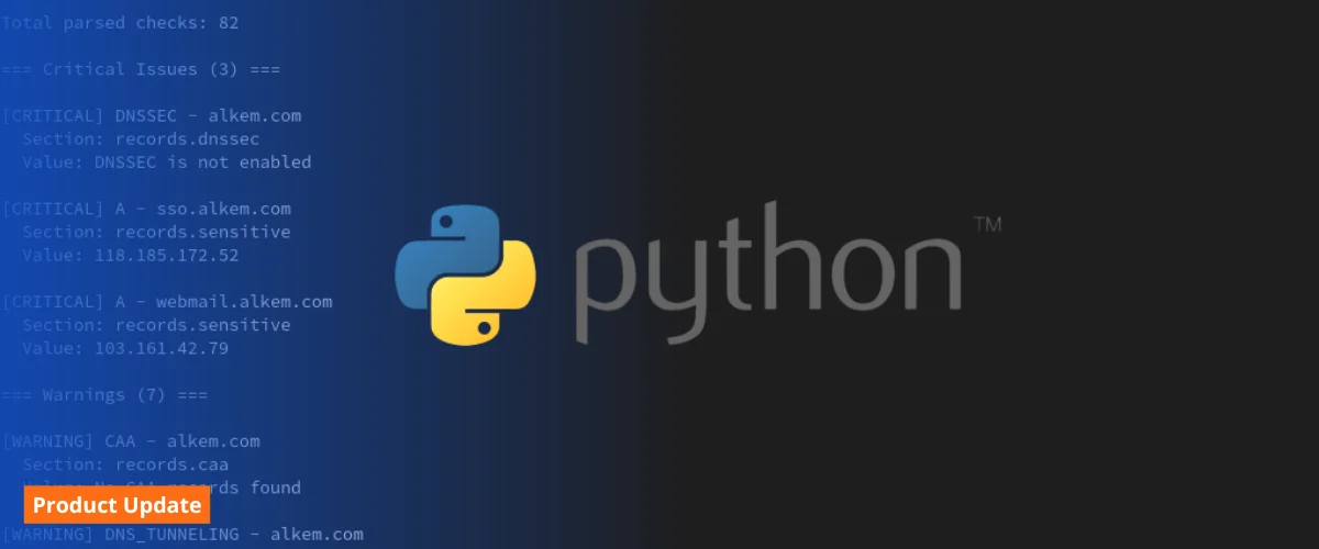 DNSAudit Python SDK terminal output showing parsed DNS security scan results