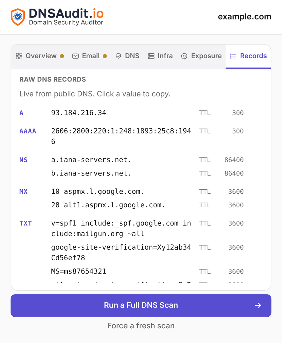 Records tab listing raw DNS records with TTLs